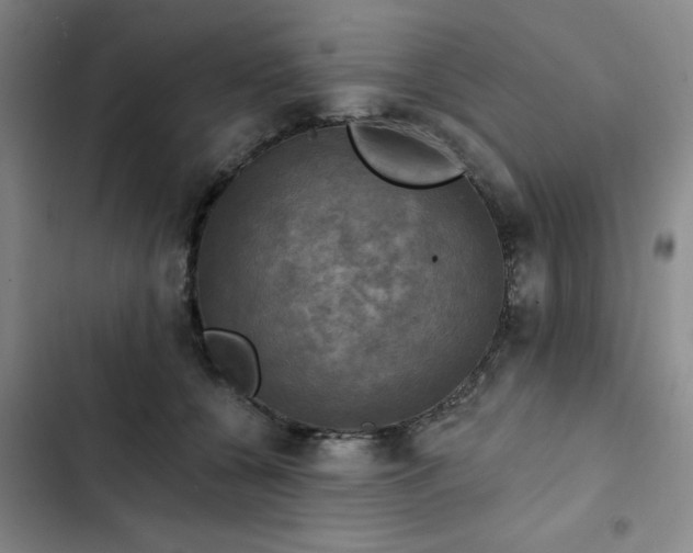 X0000102500560200808221757