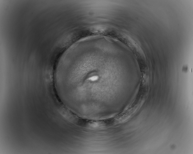 X0000102500561200808221757