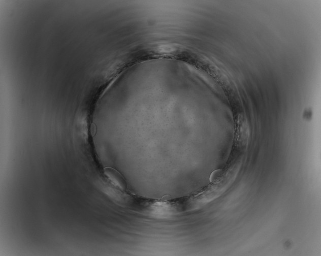 X0000102500562200808221757