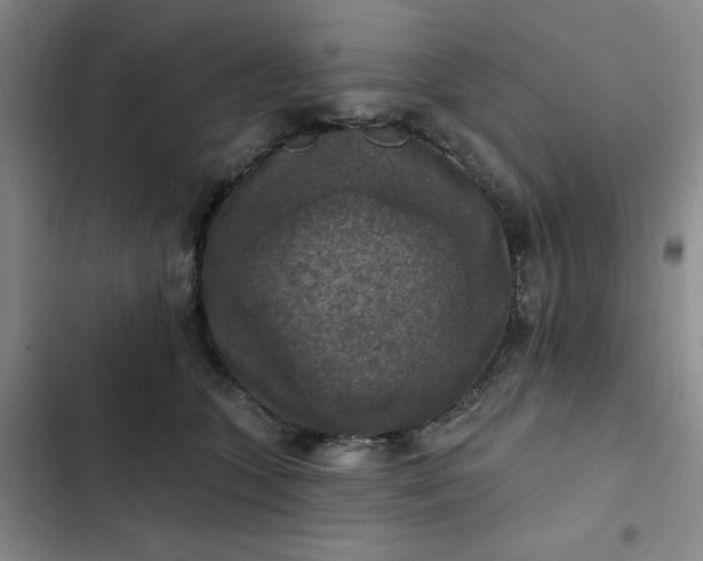 X0000102500563200808221757