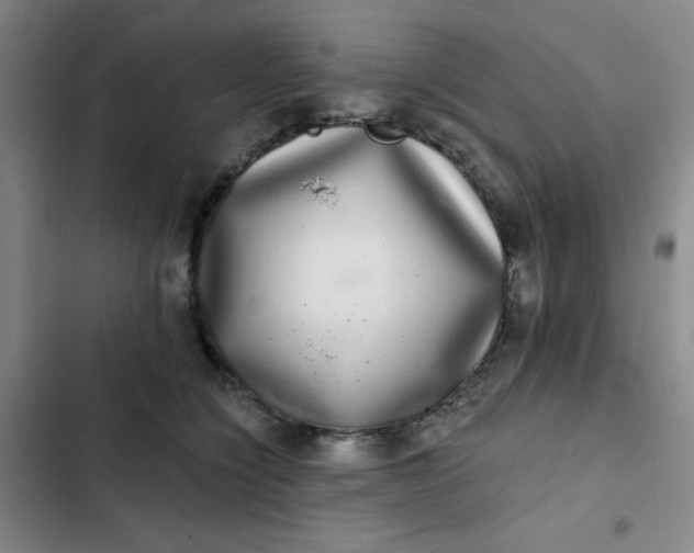 X0000102500564200808221757