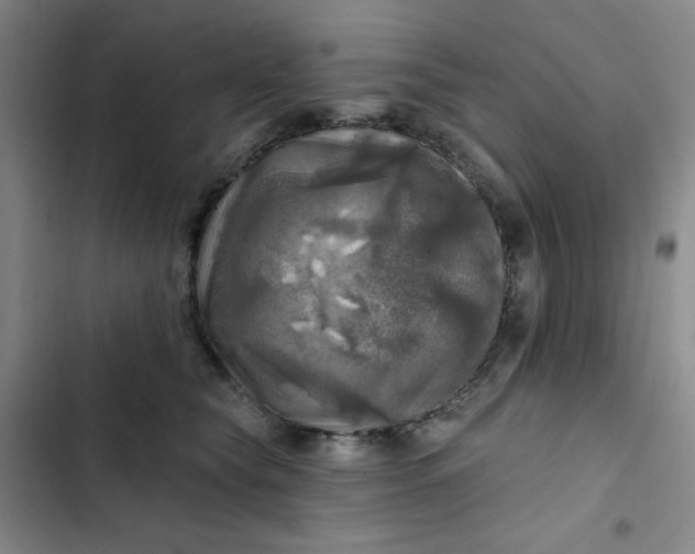 X0000102500565200808221757