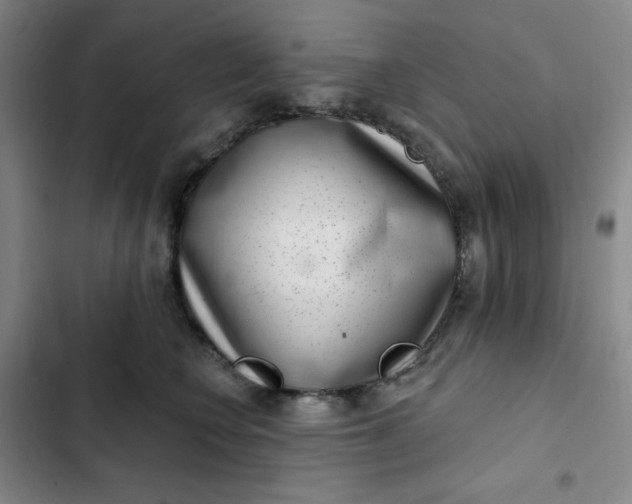 X0000102500566200808221757