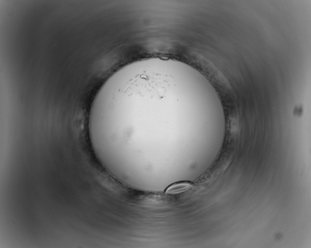 X0000102500567200808221757