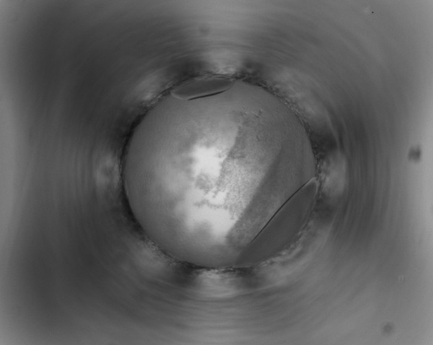 X0000102500568200808221757