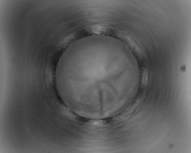 X0000102500569200808221757