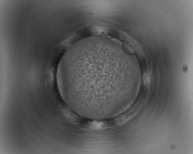 X0000102500570200808221757