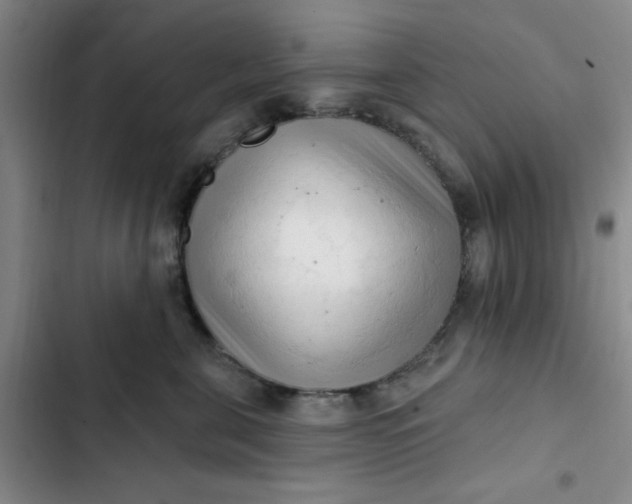 X0000102500571200808221757