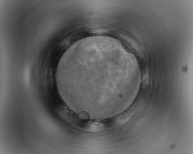 X0000102500572200808221757