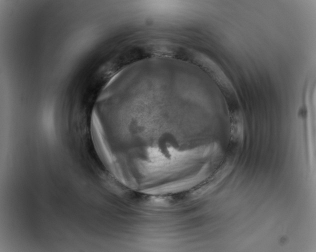 X0000102500573200808221757