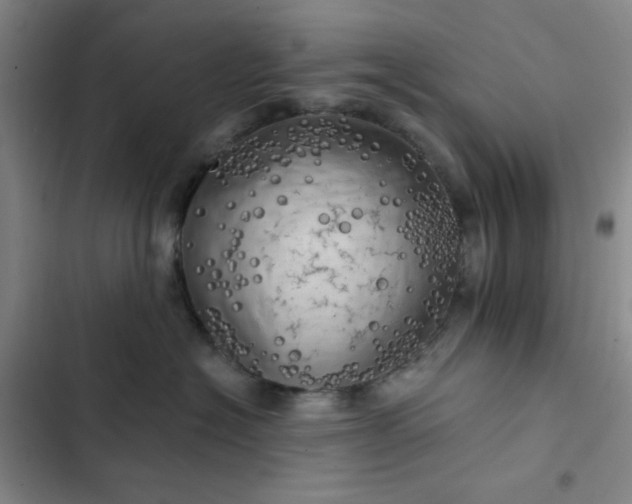 X0000102500574200808221757