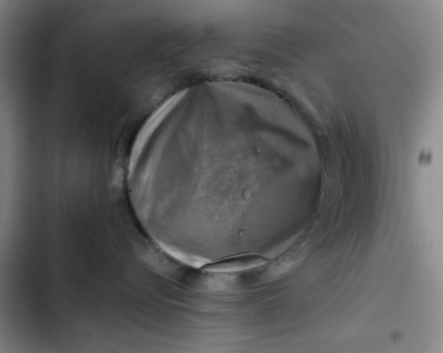 X0000102500576200808221757