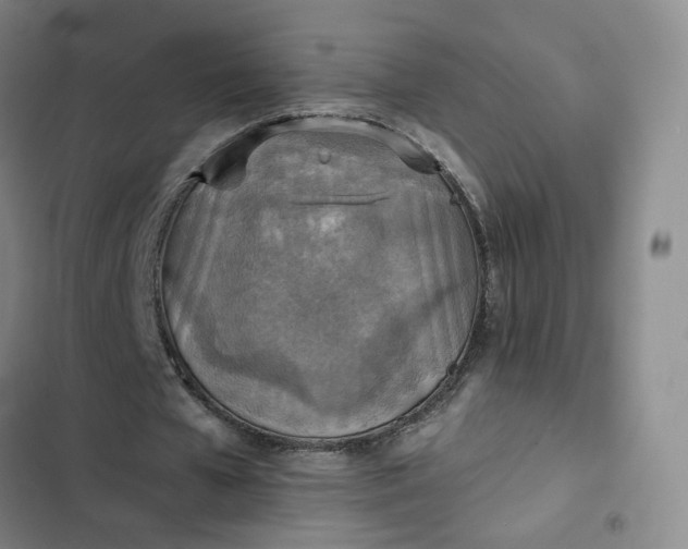 X0000102500577200808221756