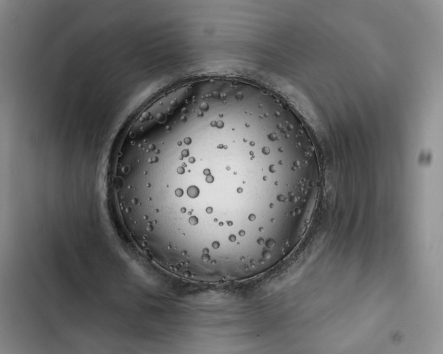 X0000102500578200808221756