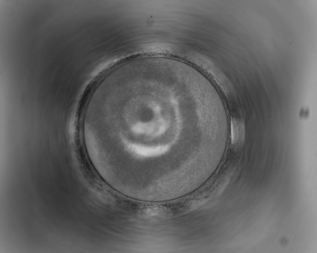 X0000102500579200808221756