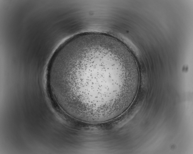 X0000102500580200808221756