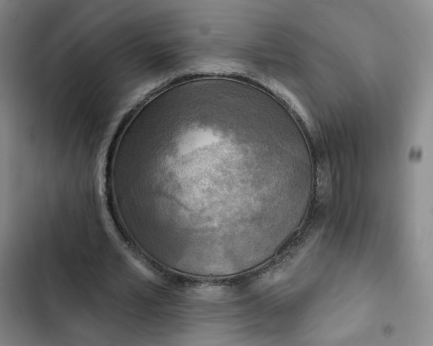 X0000102500581200808221756