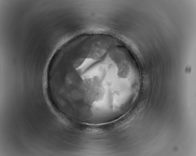 X0000102500582200808221756