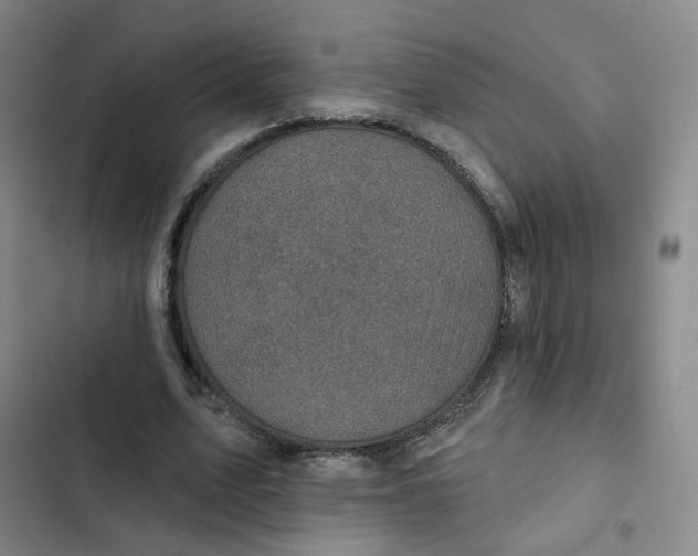 X0000102500583200808221756