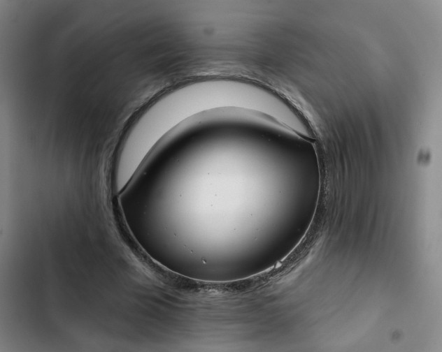 X0000102500585200808221756