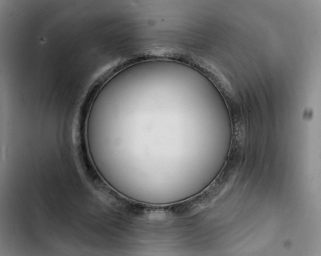 X0000102500587200808221756