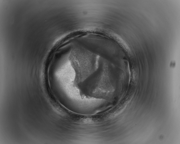 X0000102500588200808221756