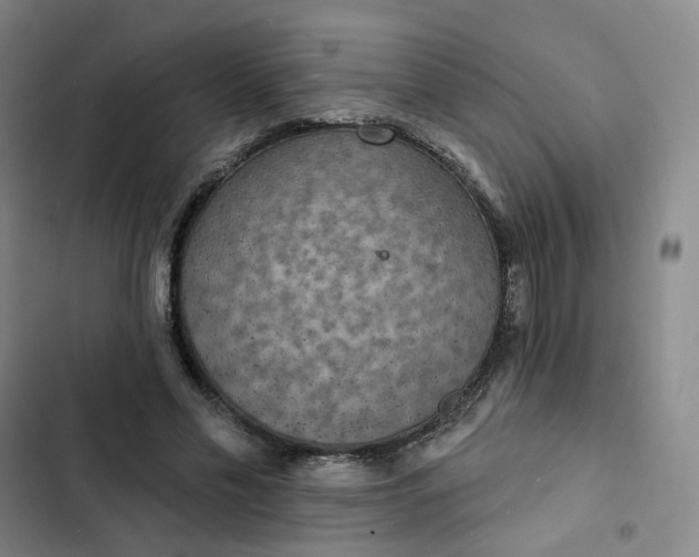 X0000102500589200808221756