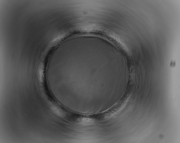 X0000102500590200808221756