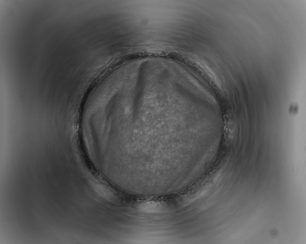 X0000102500593200808221756