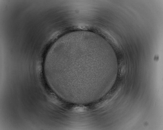 X0000102500595200808221756