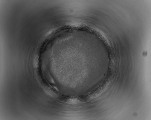 X0000102500596200808221756