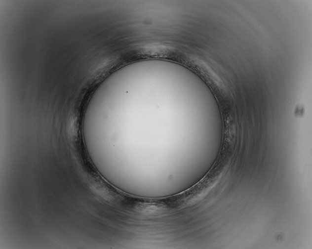 X0000102500597200808221756