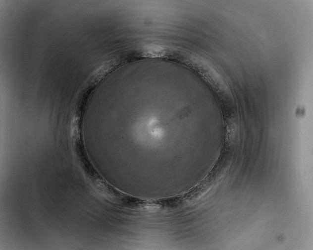 X0000102500598200808221756