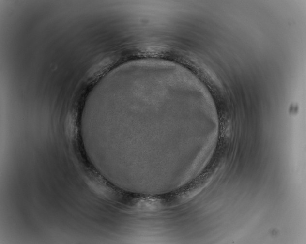 X0000102500599200808221756