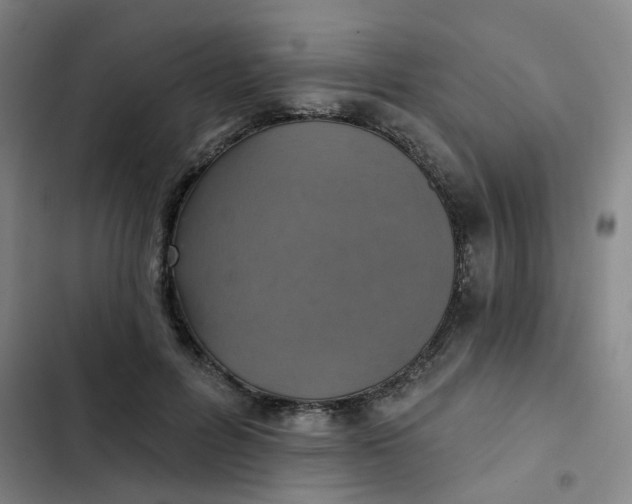 X0000102500600200808221756