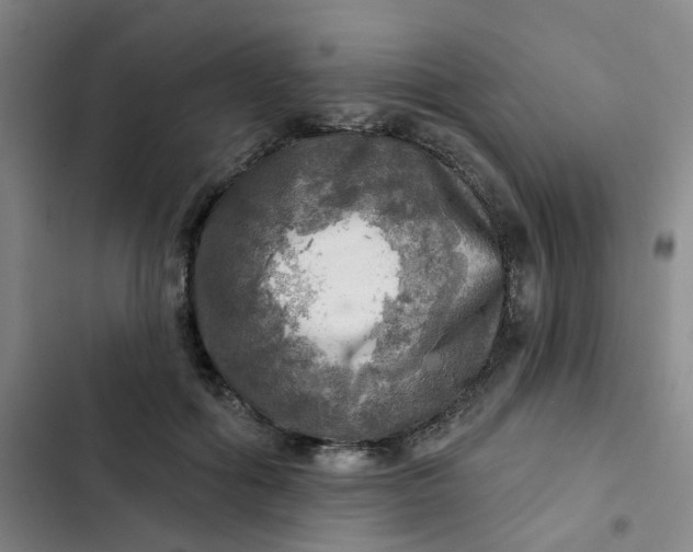 X0000102500602200808221756