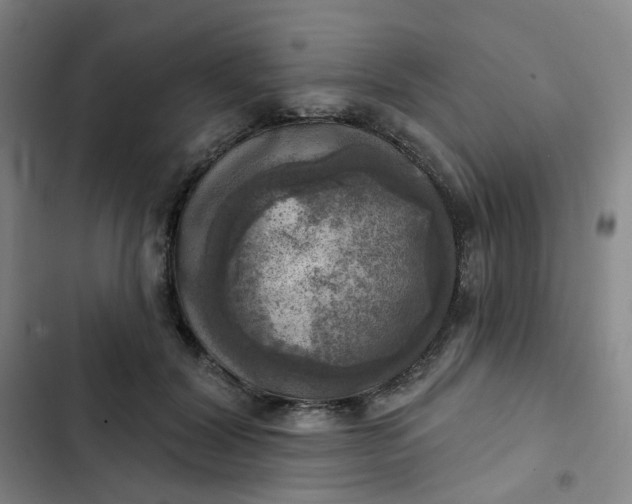 X0000102500604200808221756