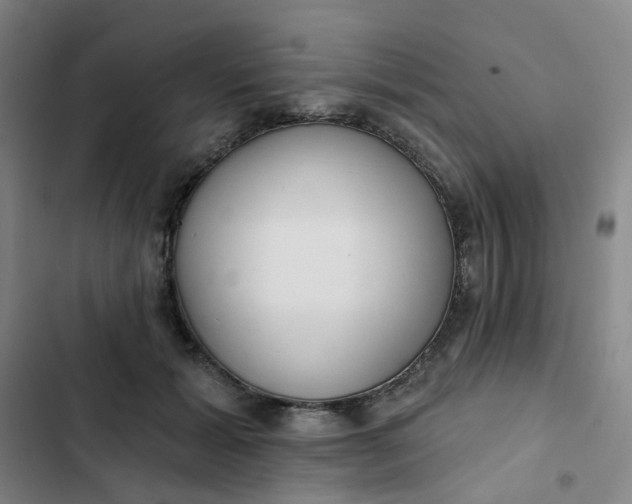 X0000102500605200808221756