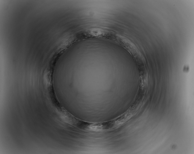 X0000102500606200808221756