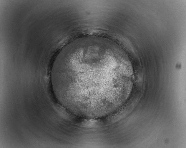 X0000102500607200808221756