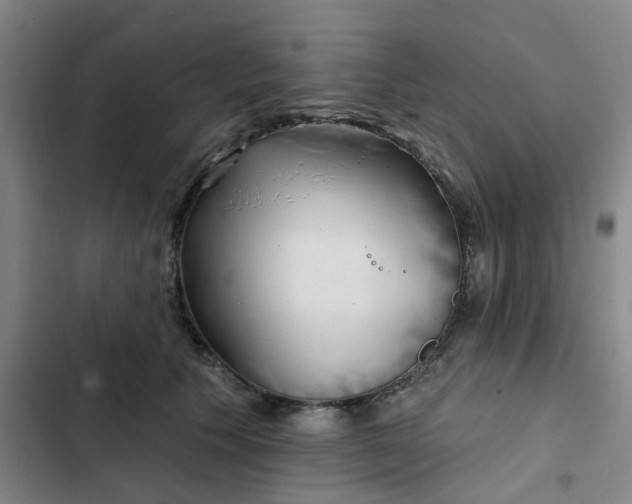 X0000102500609200808221756