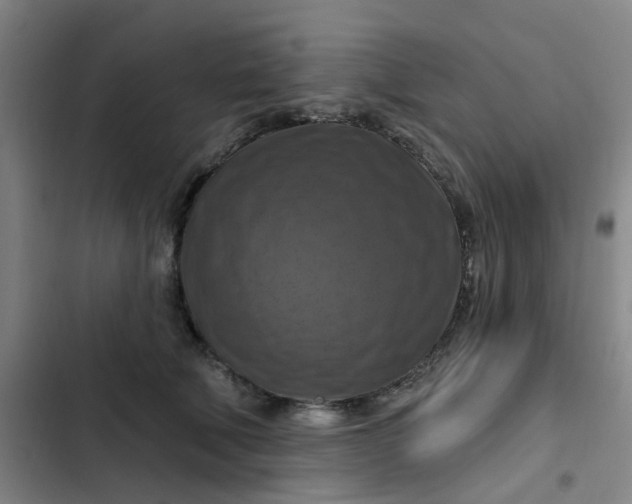 X0000102500610200808221756