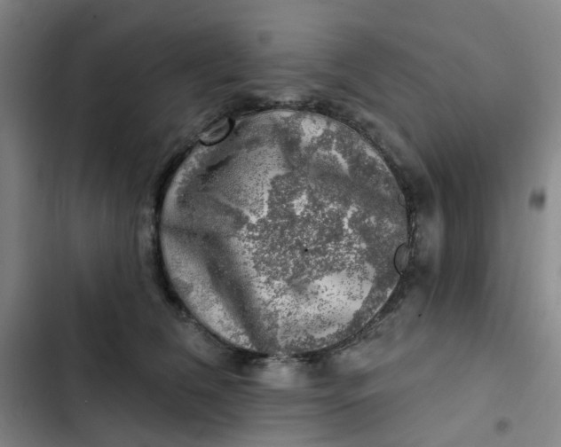 X0000102500612200808221756