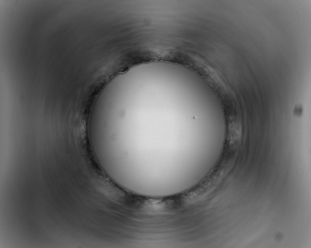 X0000102500613200808221756