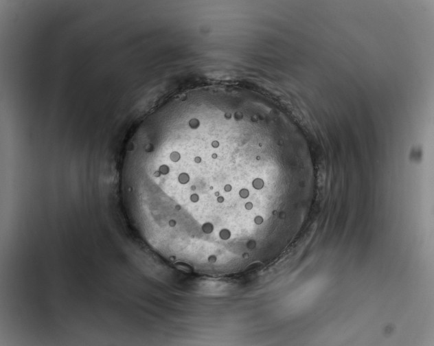 X0000102500614200808221756