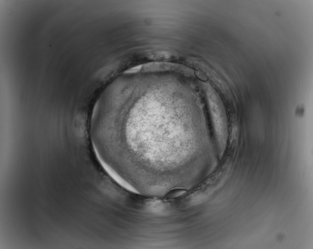 X0000102500616200808221756