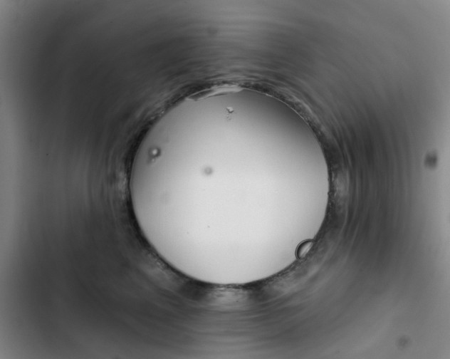 X0000102500617200808221756