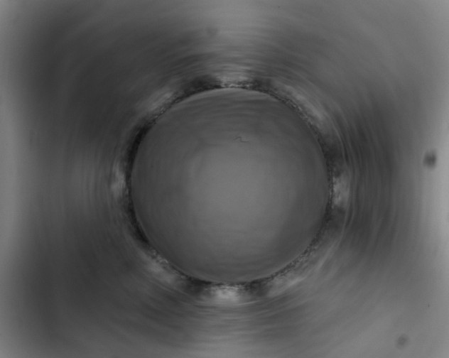 X0000102500618200808221756