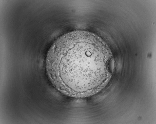 X0000102500619200808221756