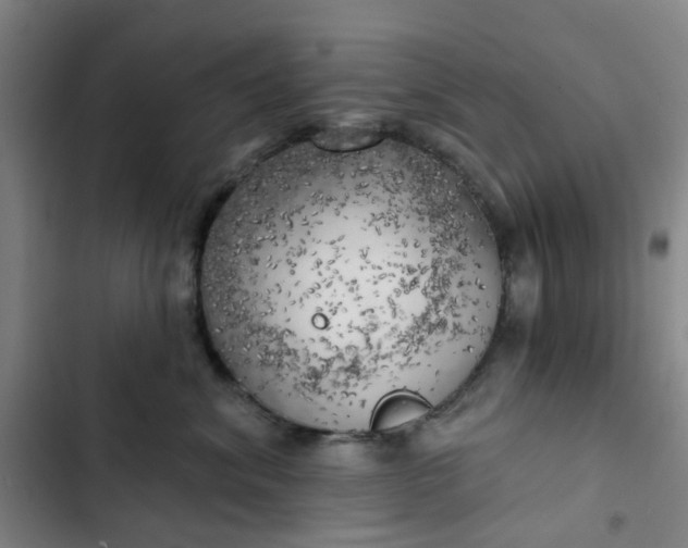 X0000102500620200808221755